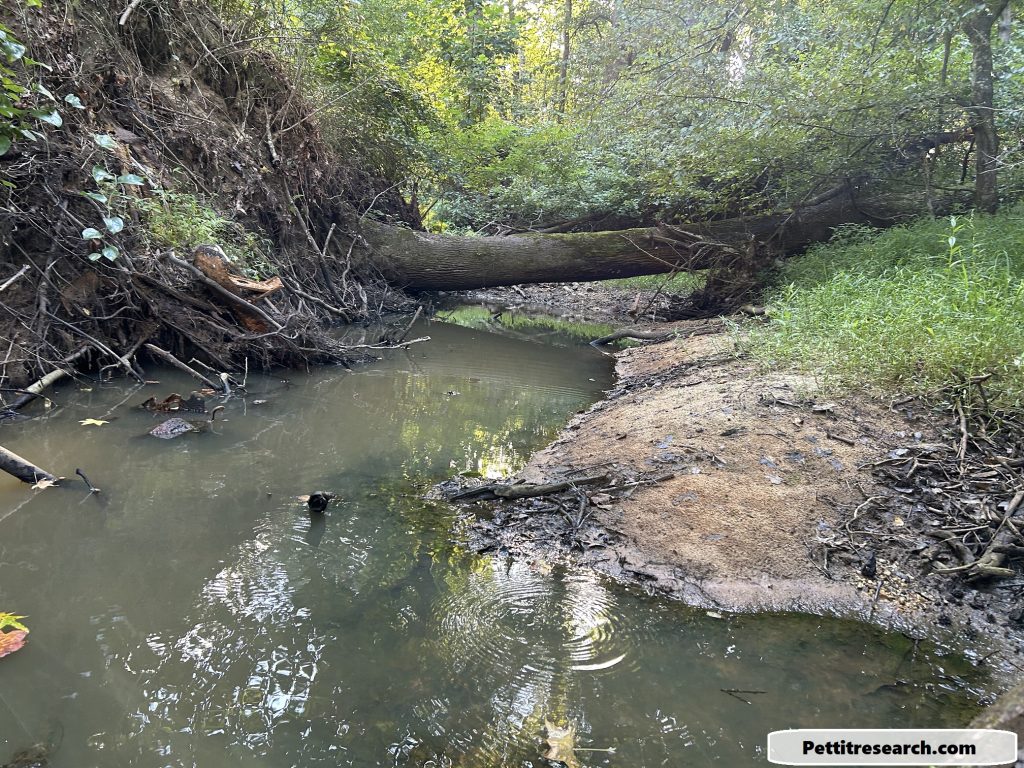 View of Mill Run near its junction with Piccowaxen Creek. This was likely on or very near Thomas Petite's land. Photo taken by BW Pettit in August 2024.