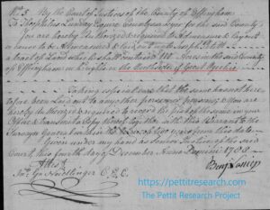 Original warrant for Joseph Pettit's 100 acres on the north side of the Great Ogeechee.